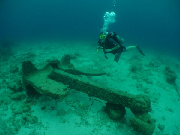 FREIWASSER-FORTGESCHRITTENENKURS