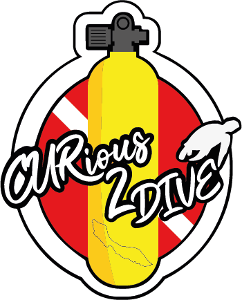 Curious 2 dive curacao