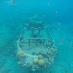 snorkelen bij Tugboat Beach