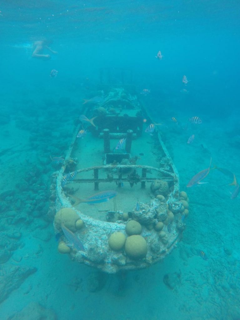 snorkelen bij Tugboat Beach