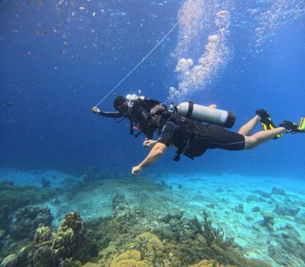 GUIDED DIVE AT HOUSE REEF