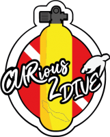 Curious 2 dive curacao